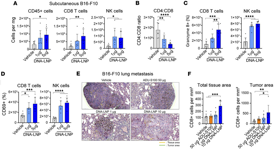 DNA-LNP induces CD8+ T cell infiltration of tumor sites and immune cell ...