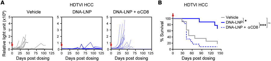 DNA-LNP induces CD8+ T cell–mediated antitumor effect in HCC mouse model...