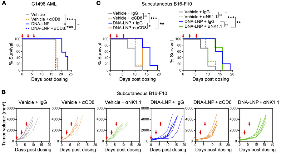 DNA-LNP induces CD8+ T cell–mediated antitumor effect in nonhepatic tumo...