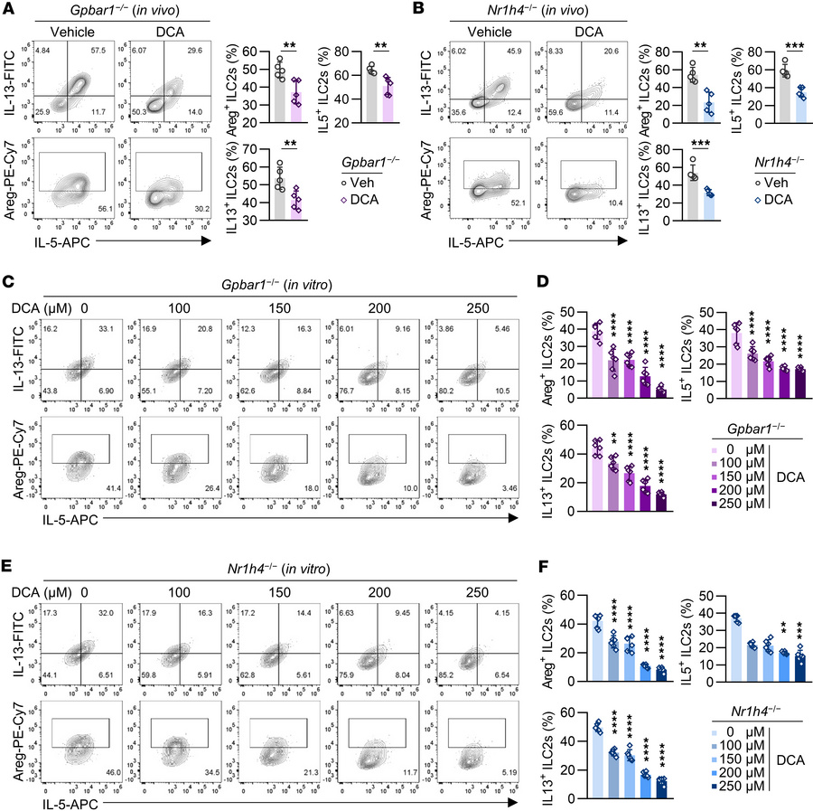 DCA suppresses colonic ILC2 function via a receptor-independent manner.
...