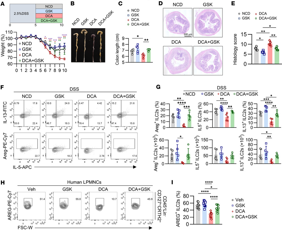 The PERK branch of UPR mediates DCA-inhibited ILC2 function and colitis ...