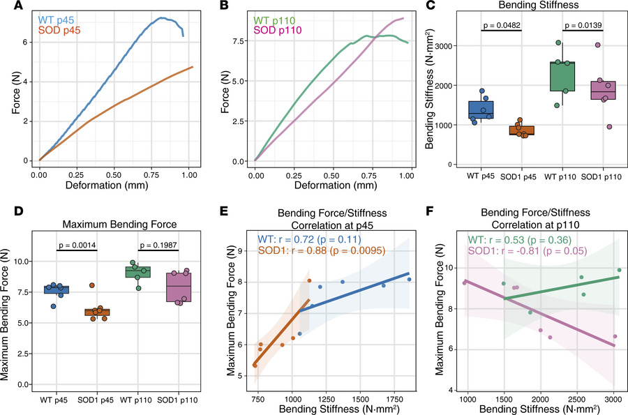 Altered bone biomechanical properties in SOD1(G93A) mice at presymptomat...