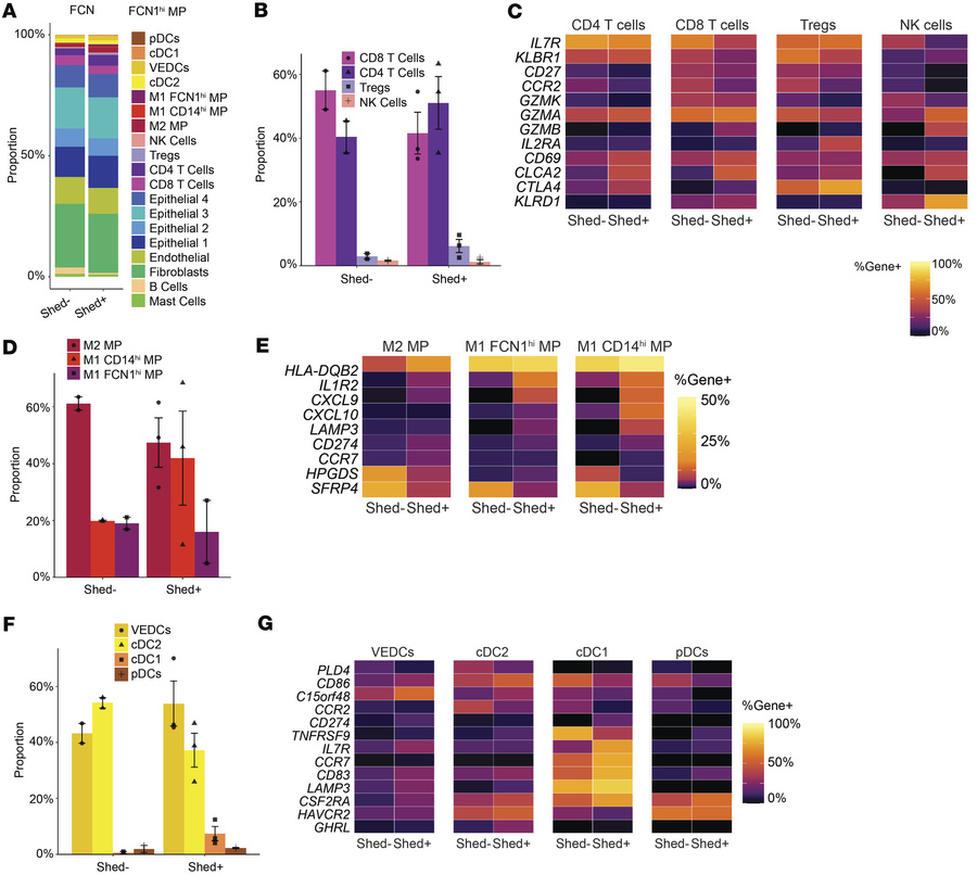 HSV-2 viral shedding associates with inflammatory immune response in the...