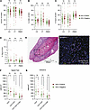 HSV-2 seropositivity not associated with alterations in total T cells or su