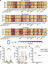 HSV-2 seropositivity drives few phenotypic alterations in the CVT.