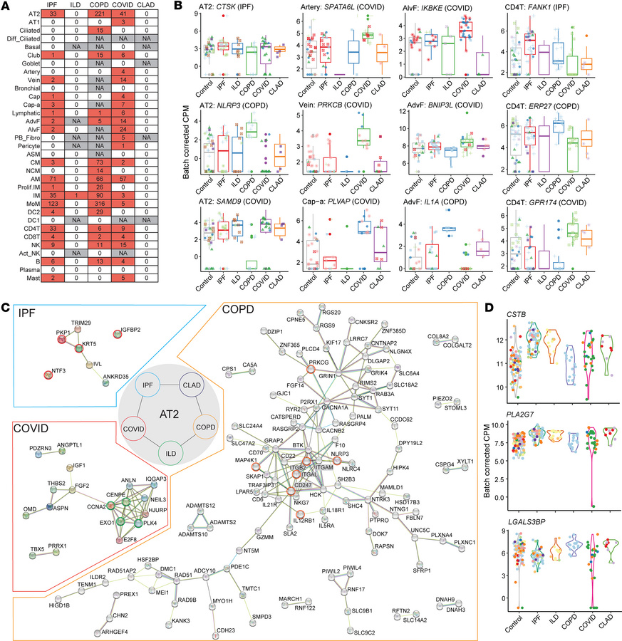 Transcriptomic divergence across disease etiologies.
(A) Heatmap illustr...