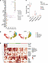 Single-cell transcriptomic landscape of epithelial cells in CLAD.