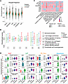Single-cell transcriptomic landscape of endothelial and stromal cells in CL