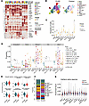 Single-cell transcriptomic landscape of lymphoid cells in CLAD.