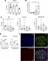 miR-93 expression decreases along disease progression in mice and humans.