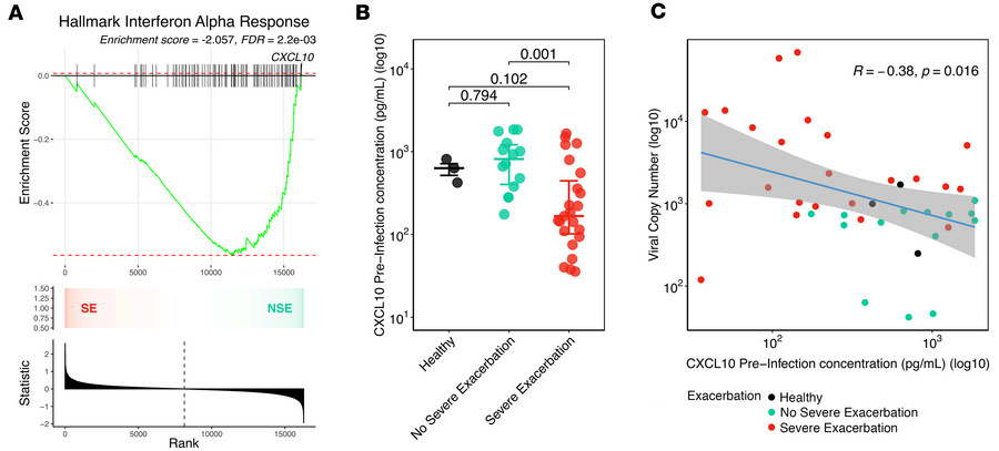 Pre-infection IFN tone drives viral replication in children with SE.
(A)...