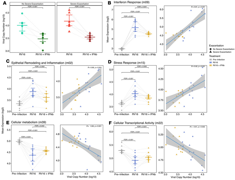 Prophylactic IFN-β treatment reduces RV replication and ameliorates epit...