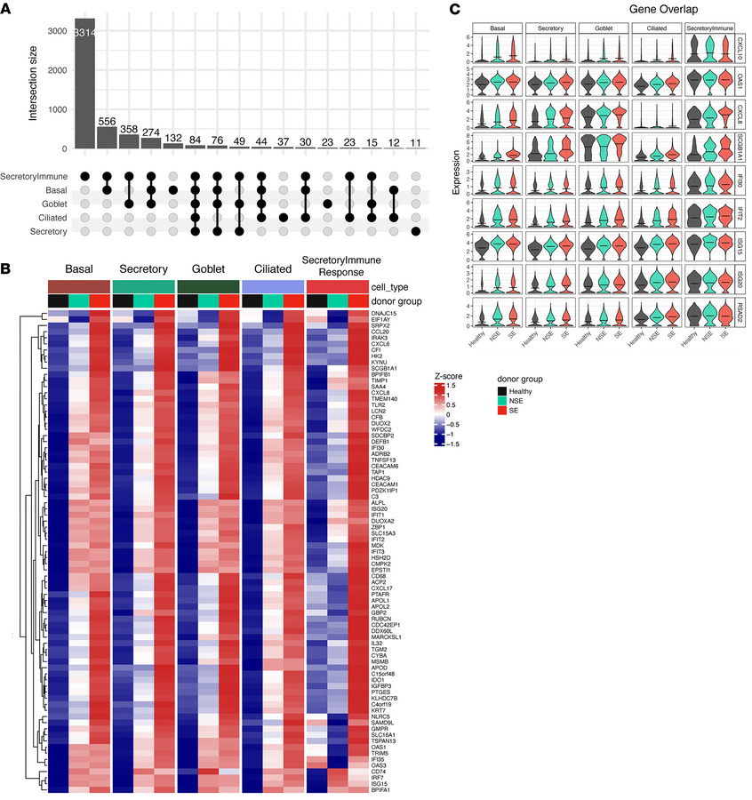 Global gene expression analysis identifies severity-associated transcrip...
