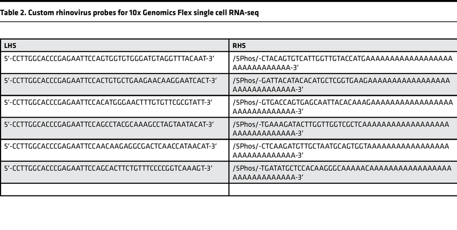 Custom rhinovirus probes for 10x Genomics Flex single cell RNA-seq