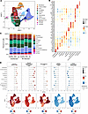 Single-cell RNA-Seq maps epithelial cell diversity and reveals cell type–sp