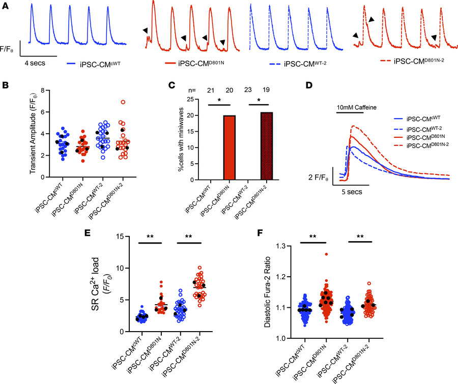 iPSC-CMD801N have miniwaves, higher SR [Ca2+] store content, and higher ...