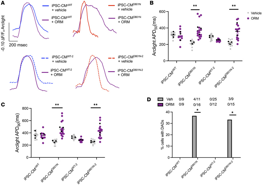 NCX1 Ca2+ influx inhibition with ORM-10103 rescues APD and prevents DADs...