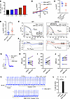 iPSC-CMD801N have greater NCX1 Ca2+ influx at positive membrane potential.