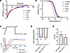 Lower NKA functional states lead to faster L-type Ca2+ channel inactivation