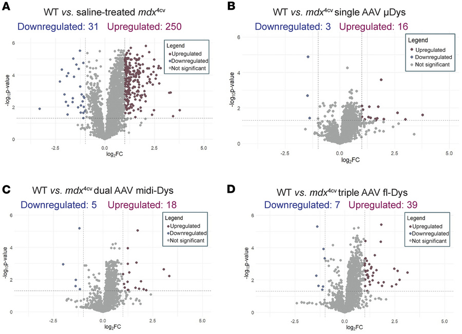 Comparison of protein expression profiles between experimental groups.
P...