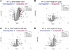 Comparison of protein expression profiles between experimental groups.