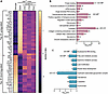 Analysis of protein expression profile demonstrates proteomic rescue by dys
