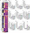 Proteins with unrestored expression in mdx4cv mice treated with various dys