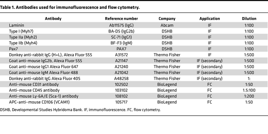 Antibodies used for immunofluorescence and flow cytometry.