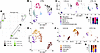 Hypothyroidism alters transcriptional profiles, cellular composition, and r