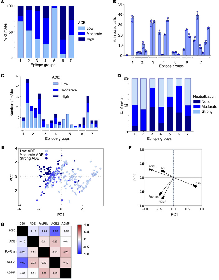 The extent of ADE depends on binding to ACE2 and Fcγ receptors and less ...