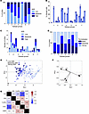 The extent of ADE depends on binding to ACE2 and Fcγ receptors and less on