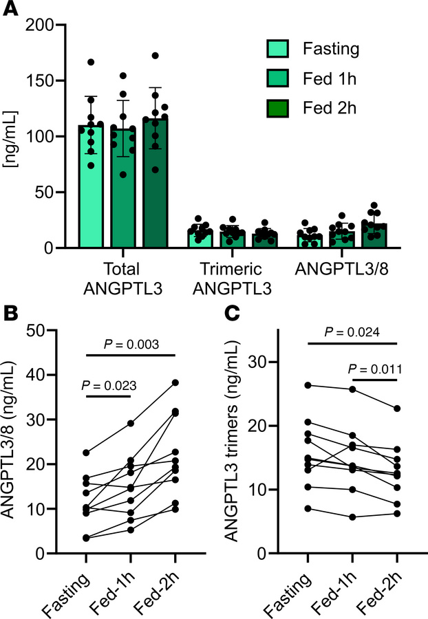 Levels of monomeric and trimeric ANGPTL3 in human serum under different ...