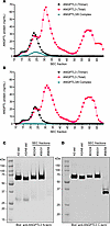 Subpopulations of ANGPTL3 in normal human serum.