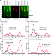 Large amounts of ANGPTL3 monomers are present in human serum.