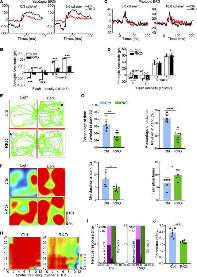 Impaired visual function in rod-specific Virma-depleted mice.
(A) Scotop...