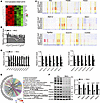 Virma regulated visual perception–associated gene expression via m6A modifi