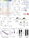 Bidirectional interplay between microglial VRAC expression and seizure seve
