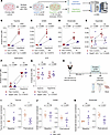 SWELL1 deletion impairs microglial release of neuroactive metabolites.