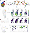 Analysis of pooled keratinocytes.