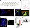 Regulation of FABP5 in human keratinocytes.