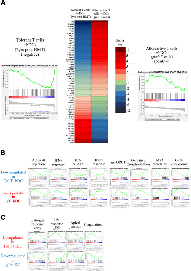 Gene Set Enrichment Analysis signaling pathway analysis comparing circul...