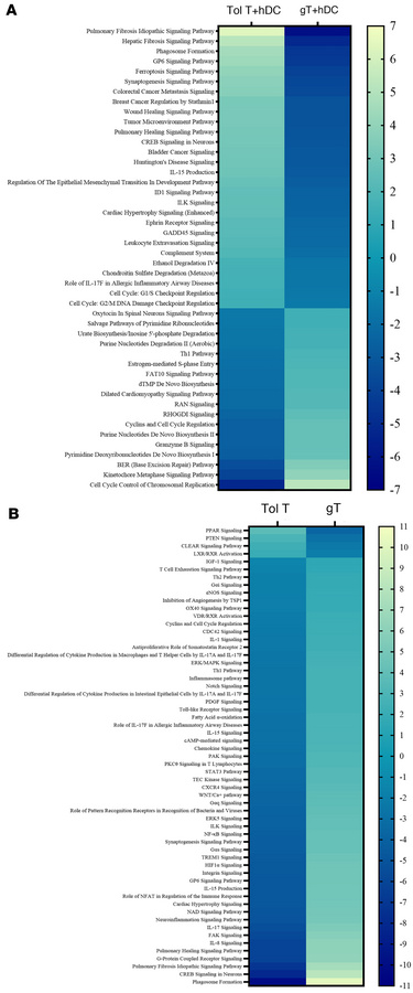 Signaling pathway analysis contrasting circulating T cells (donor origin...