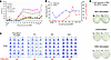 Immune reconstitution after BMT.