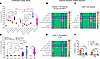 Anti-host proliferation by donor T cells in MLR and cytokine profiles contr