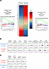 Gene Set Enrichment Analysis signaling pathway analysis comparing circulati