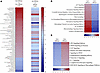 Comparison of signaling pathways between circulating host and donor monocyt