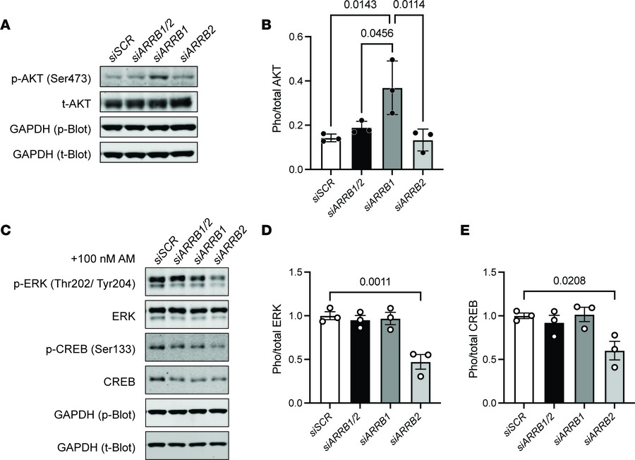 Signaling changes in LECs caused by deficiency of combined or individual...