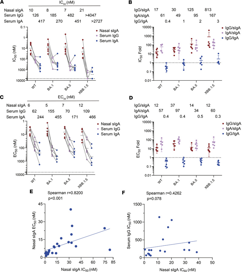 Neutralizing and spike-binding activities of purified nasal sIgA, serum ...