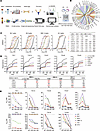 Identification of mucosal sIgA mAbs using MS Ig-seq and scBCR-seq.
