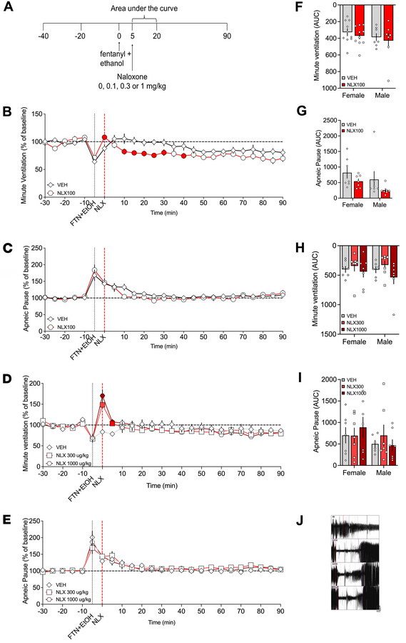 Effect of naloxone on respiratory depression induced by fentanyl+alcohol...